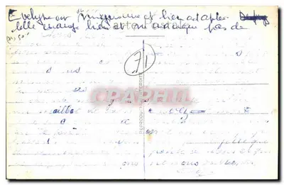 Dom otoczony roślinnością — widok fasady — wydawca nieznany — Rewers