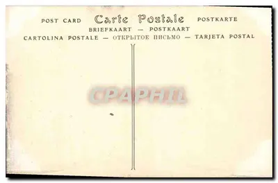 Nice — Publiczny ogród — ND Fot. — Rewers