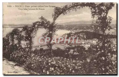 Nice — Widok z kwiatów — Wydawnictwo Offiste, n°142