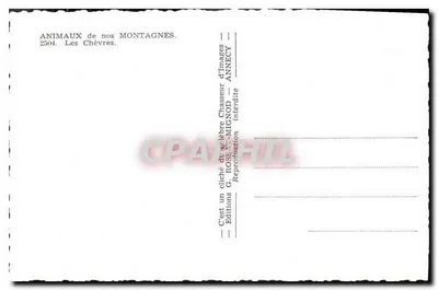 Les Chèvres — Góry — G. ROSSAT-MIGNOD, nr 2504 — Rewers