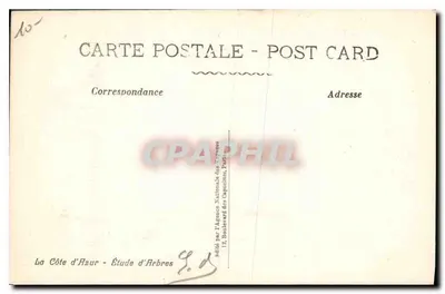 Côte d'Azur — Studium Drzew — wydane przez Narodową Agencję Kapucynów, Paryż — Rewers