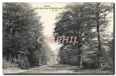 Les Bois de Viroflay — E. M. — n° 3030