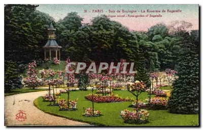 Paryż - Las Boulogne - Rosarium Bagatelle — n°38