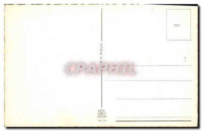 Bukiet kwiatów — róża, motyl — wydawca specjalny, nr 60119 — Rewers