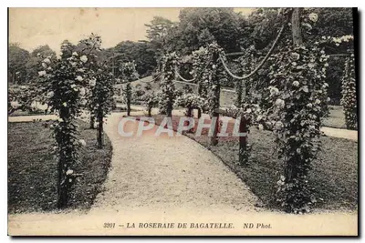 La Roseraie de Bagatelle — ogrodzik z wspinającymi się różami — ND Fot. n° 3201