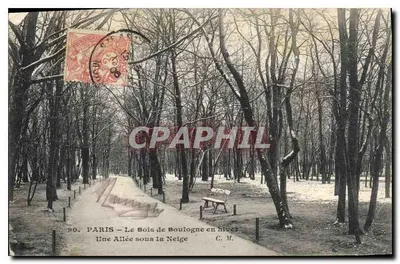 PARYŻ — Las Boulogne zimą — Aleja pod śniegiem — C. M.