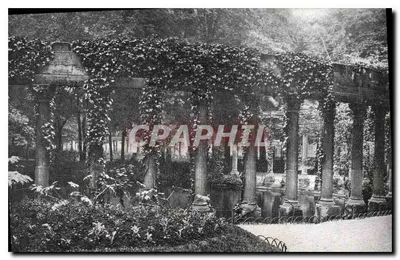 Pergola pokryta lianami — Publiczny ogród — Wydawca nieznany