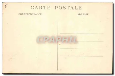 LYON — Parc de la Tête-d'Or — Le Coin aux Cygnes — E.R. n°237 — Verso