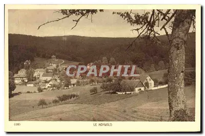 Le Hohwald — vista panorâmica do vilarejo e das colinas — série 1160, editada por Braun & Cie (H.-Rhin)