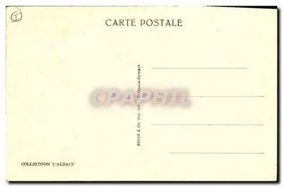 Ribeauville — Antiga Cour (1567) — n°587 — Verso