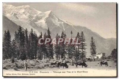 Chamonix — Pasterze w Praz i Mont-Blanc — Jullien frères, Fot. Wydawcy, Genewa, nr 6992