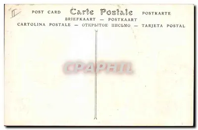 Avignon — Katedra i Pałac Papieski (XIV wiek) — ND Pbot. — Rewers