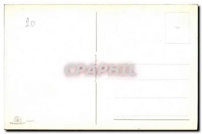Drzewo jesiennego liścia — widok gór — Primotocolor Belgium n° 52420 — Rewers