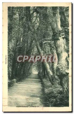 Montbard (Côte-d'Or) - Avenida do Pai