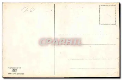 Pejzaż bagna z fioletowymi kwiatami — Photochromie — Seria 176 Nr. 8090 — Rewers