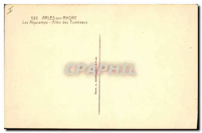 Les Alyscamps - Allée des Tombeaux — Arles-sur-Rhône — Édit. J. George — Rewers