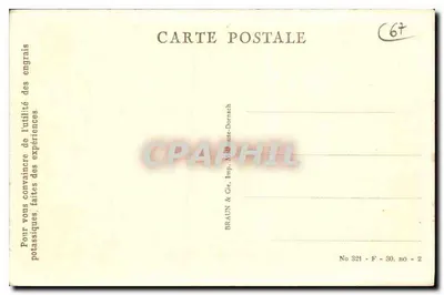 Strasbourg — L'ancienne Place Kléber — Braun & Cie, Imp. Mathaus-Dornach, No 321 — Verso