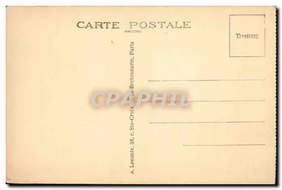 Karta pocztowa dekoracyjna — kwiaty i zwierzę — wydawca nieznany — Rewers