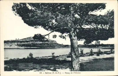 Istres (B.-du-R.) — Lago de Olivier — A. Tardy, Photo-Edit. do Porto, Marselha