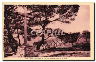 APT (Vaucluse) — Os Pinheiros em Notre-Dame de la Garde — Col. do Bureau da Imprensa Católica
