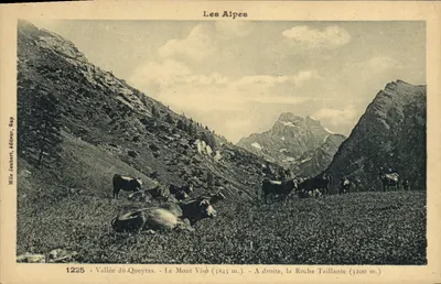 Alpy — Dolina Queyras — Mont Viso i Roche Taillante — wydawca Joubert, Gap, n° 1225
