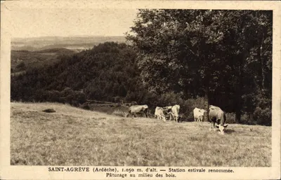 Saint-Agrève (Ardèche), 1.050 m. de alt. — Estação de verão renomada. Piquete no meio da floresta.