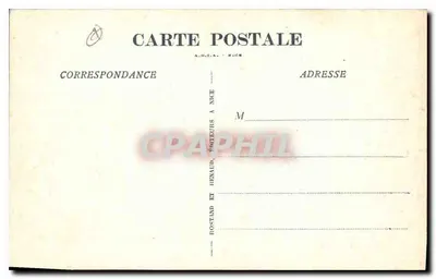 Menton — Cap-Martin. Un bosquecillo. — Reverso