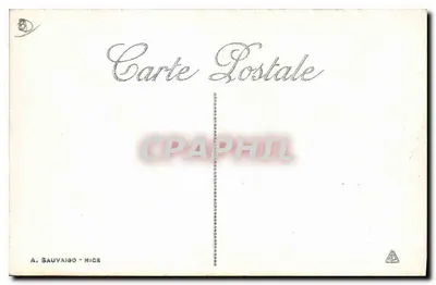 CANNES. Ptaki morskie. Kasyno Miejskie i Mont Chevalier. -- ND. Fot. — Rewers