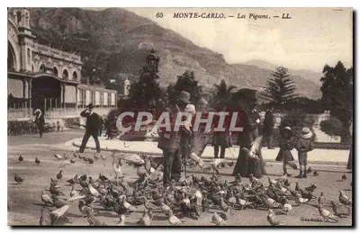 Monte-Carlo — Os Pombos — LL.