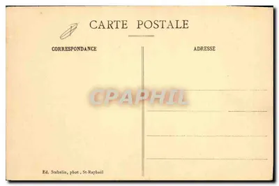 Saint-Raphaël-Valescure - Pins parasols — Ed. Stehelin, fot. St-Raphaël — Verso
