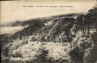 Costa Azul, St CYR, Les Lecques. Pins Parasols. — Editor: Baudouin - Ma Ville.
