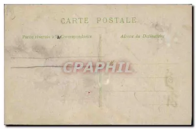 Galho de hortência — votos de felicidade — carta postal decorativa — Verso