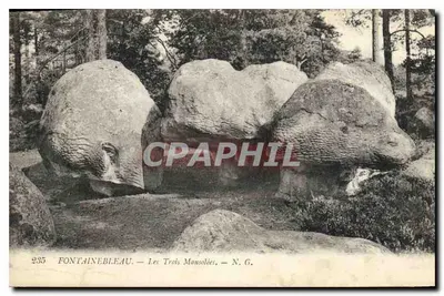 Fontainebleau — Les Trois Mansolées — N. G.