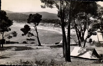 Camping bajo los pinos en La Pavière — Le Lavandou (Var) — Foto Véritable