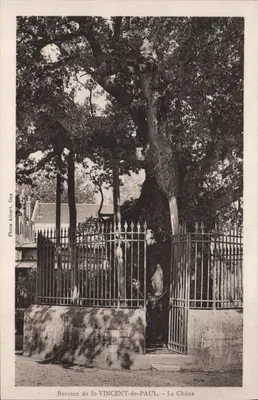 Berceau de St-VINCENT-de-PAUL — Le Chêne — Photo Albert, Dax