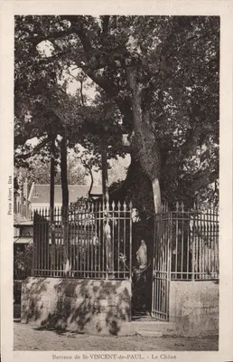 Berço de St-VINCENT-de-PAUL — O Carvalho — Foto Albert Dax