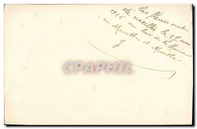 Lazaro, Marta & Maria-Madonna Arrivano a Massilia — Santi Apostoli della Provenza pregate per noi ! — Verso