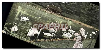 Jardim de Acclimatação - Piscina de Água dos Cisnes — editor L. V. & Cie, Paris