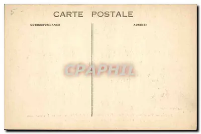 Paryż — Ogólny widok katedry Notre-Dame z podstawy wielowiekowego akacji znajdującego się w Clos Saint-Julien-le-Pauvre — Rewers