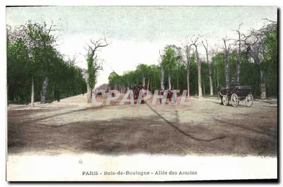 PARIS - Bois-de-Boulogne - Allée des Acacias