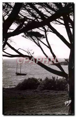 Vista do golfo do Morbihan — barco a vela — editor SPBY