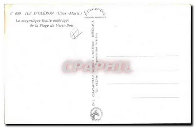 Route ombragée de la Plage de Verts-Bois — Ile d'Oléron (Charente-Maritime) — Éditions L. Chatagneau — Reverso