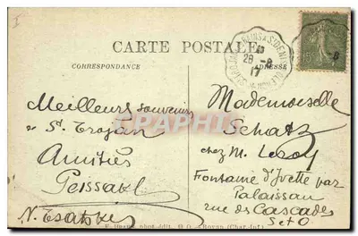 Isola d'Oléron — St-Trojan — Pini marittimi deformati dal Vento e dai Sassi — Verso
