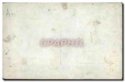 गुलाबी मछलियां और फूल - जर्से - संख्या 3606 — पीछे
