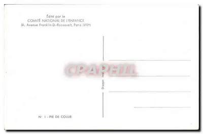 Pie de Collie — Editado pelo Comitê Nacional da Criança, N° 1 — Verso