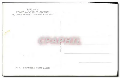 Papagaio com cresta amarela — Série n°3 — Editado pelo Comitê Nacional da Criança, Paris — Verso