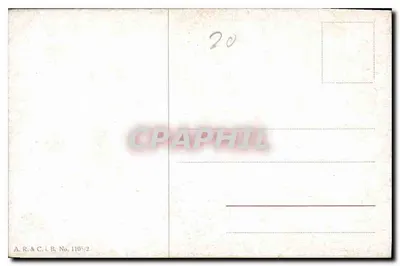 Pole fioletowych kwiatów — krajobraz — A.R.&C.i.B. Nr 1105/2 — Rewers