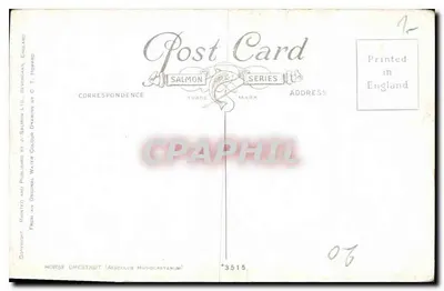 马栗 — Arésculus Hippocastanum — C.T. Howard 绘制，Salmon Trade Mark 系列 — 背面