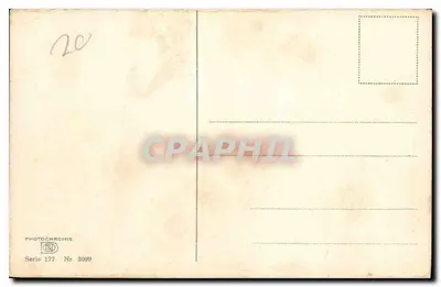 Campo de lavanda — vista paisajística — Tarjeta postal antigua, Serie 177, N° 3098 — Reverso