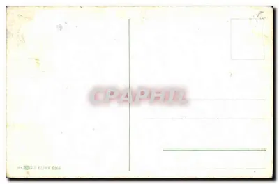 Bukiet pionów — w naczyniu z uchwytami — wydawca Elite, nr 6263 — Rewers